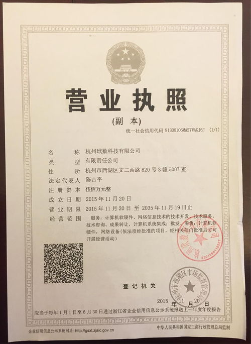 杭州玳数科技 引领基础软件服务，驱动企业数字化转型